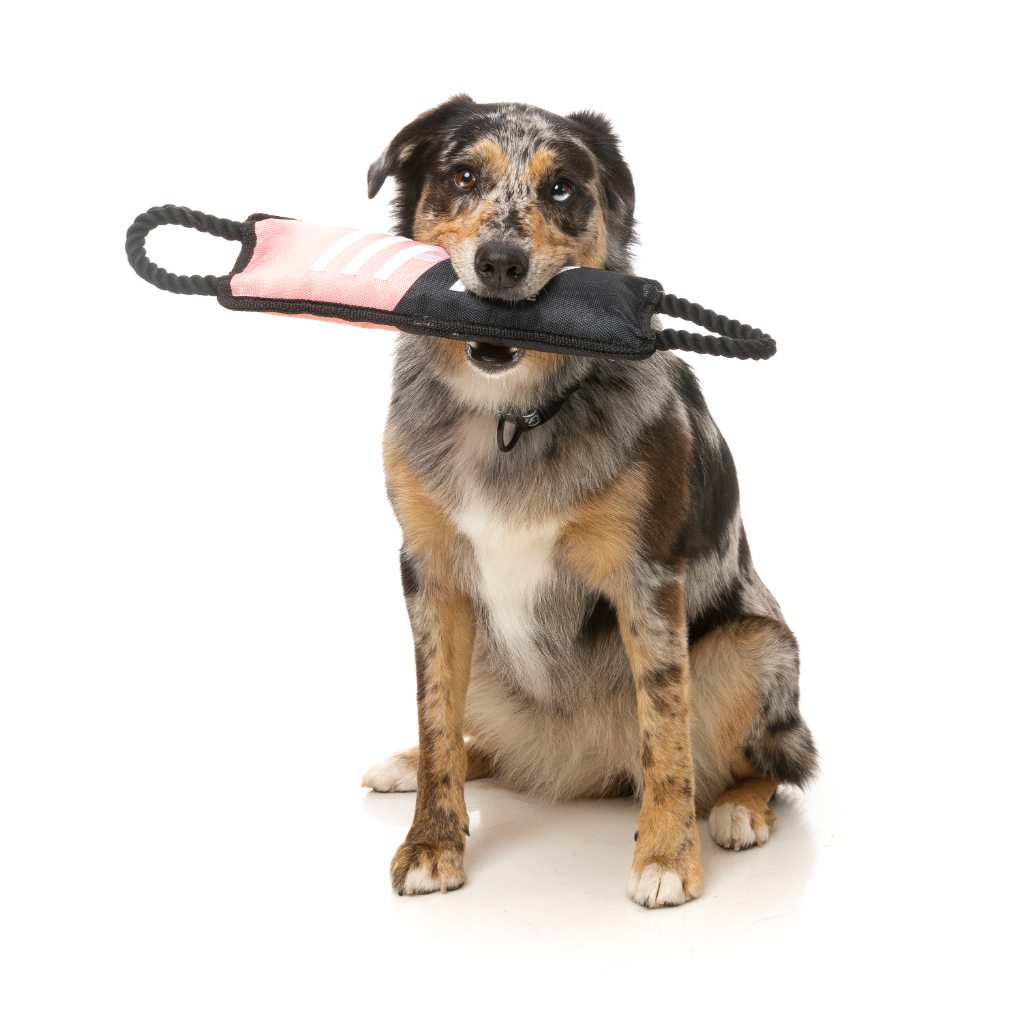 Juguete mordedor FY Active Juguete para perros – FuzzYard Europe