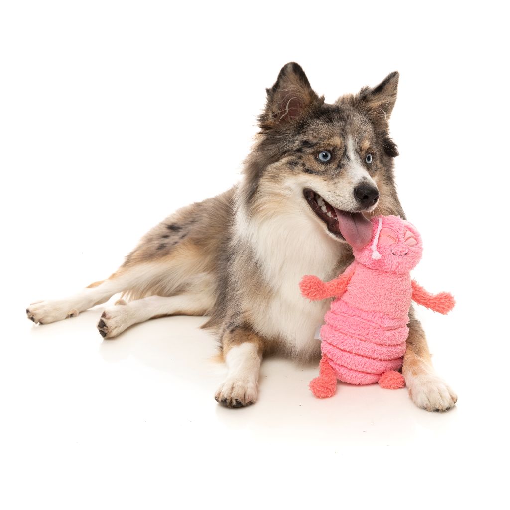Peluche para online perro
