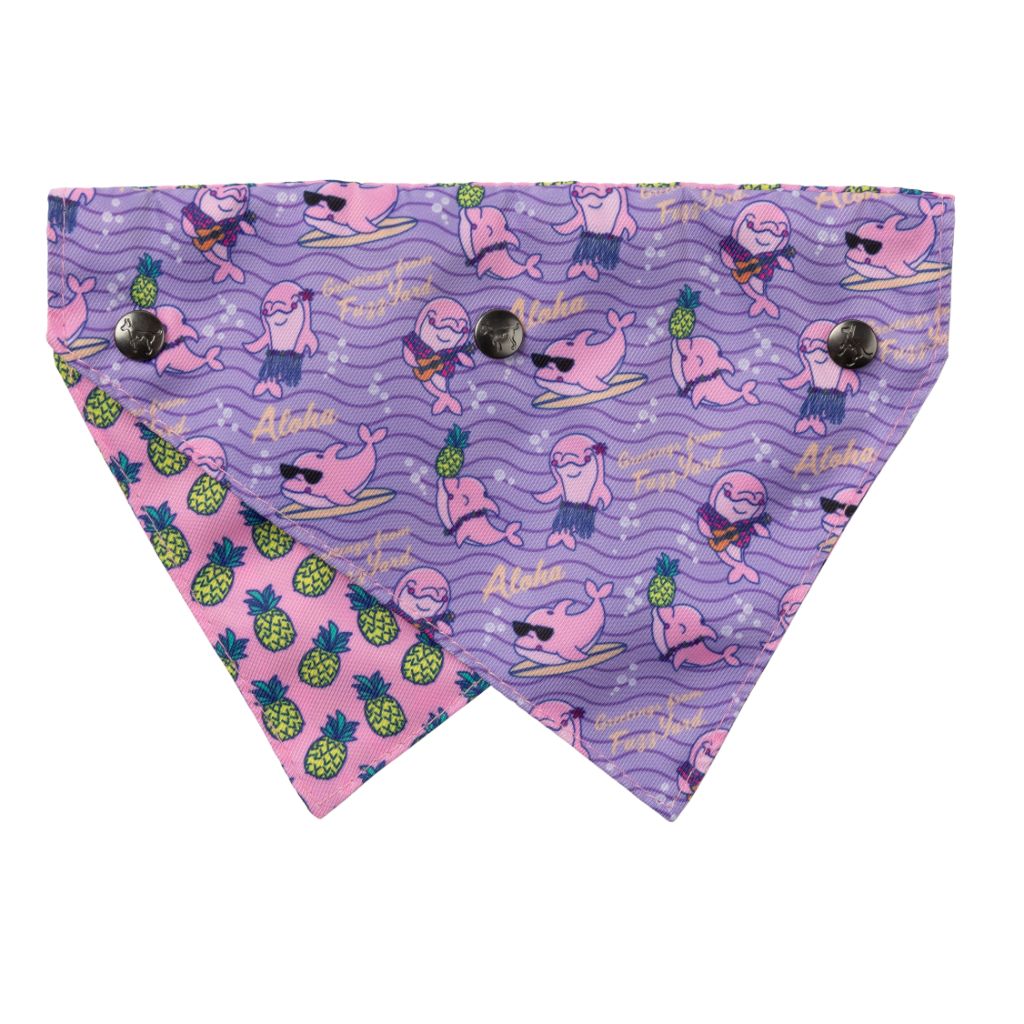 Aloha Dolphins - Bandana