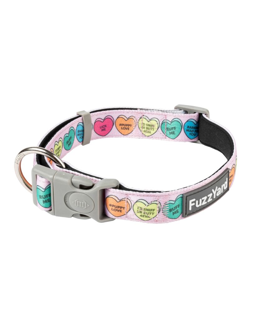 Candy Hearts - Collar para perros