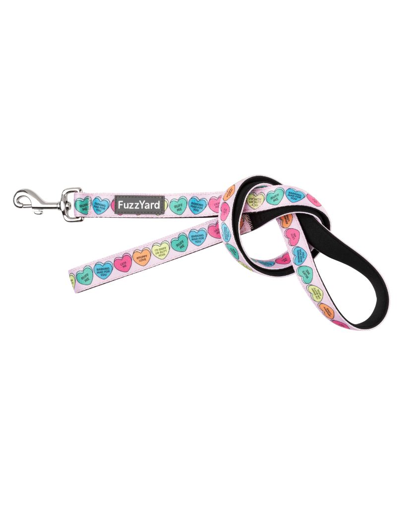Candy Hearts- Correa para perros