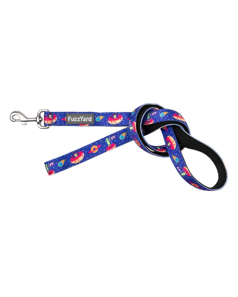 Extradonutstrial - Correa para perros