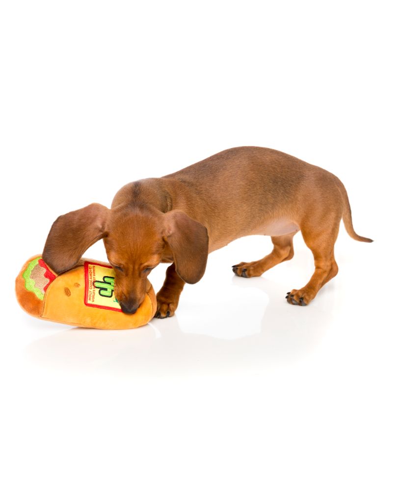 Dog online burrito toy