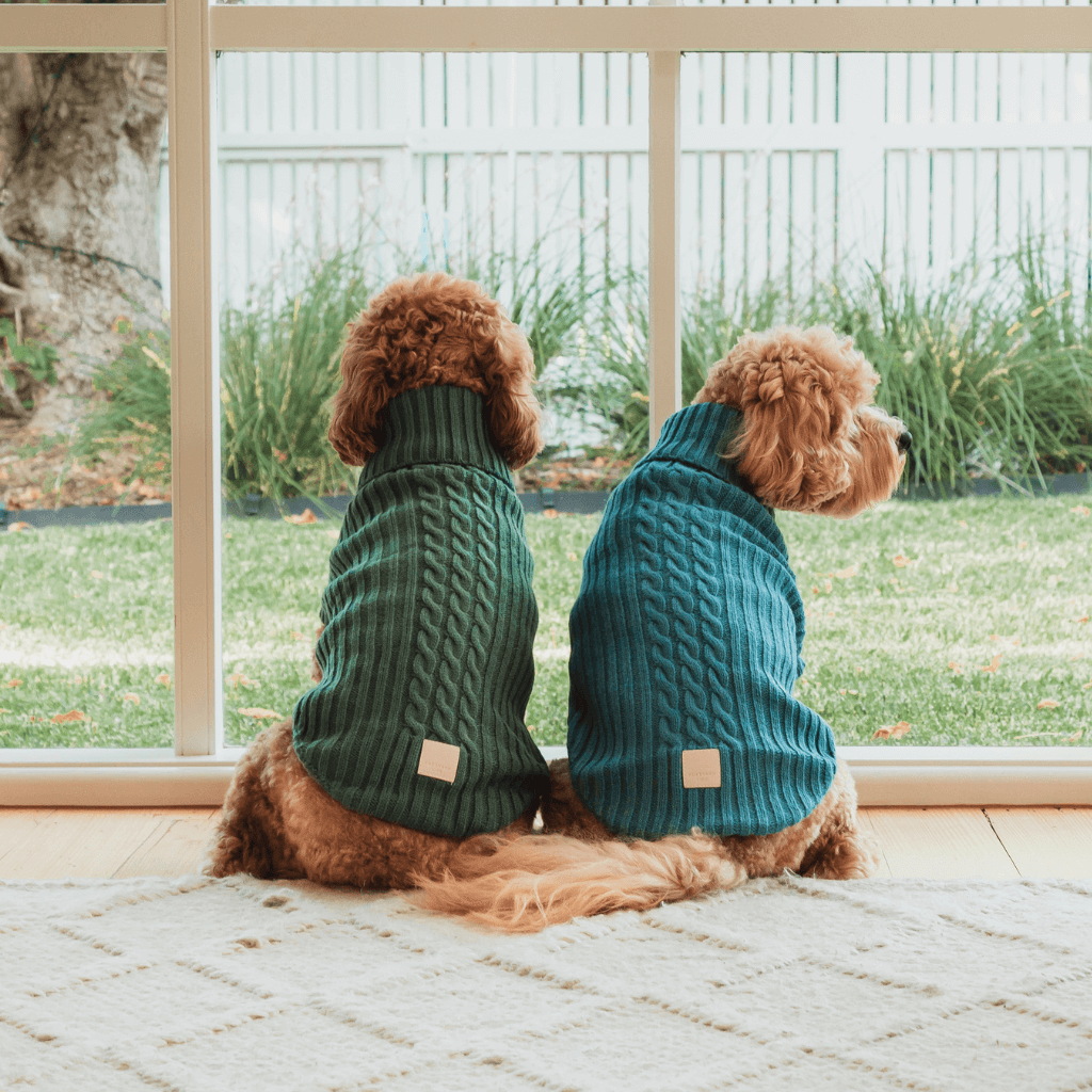 FuzzYard Life Knitted Sweater - French Blue