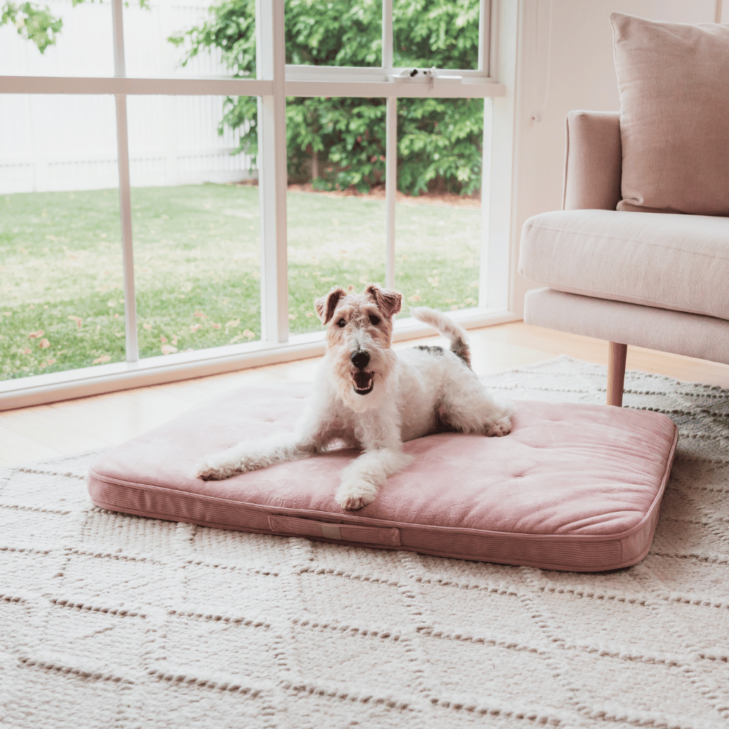 FuzzYard Life Lounge Mat - Soft Blush