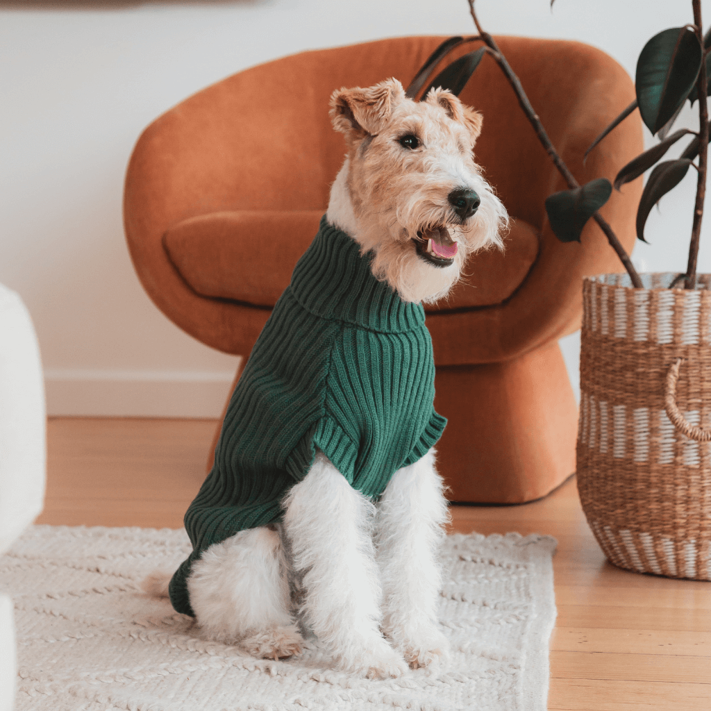 Myrtle Green - Suéter de punto FuzzYard Life