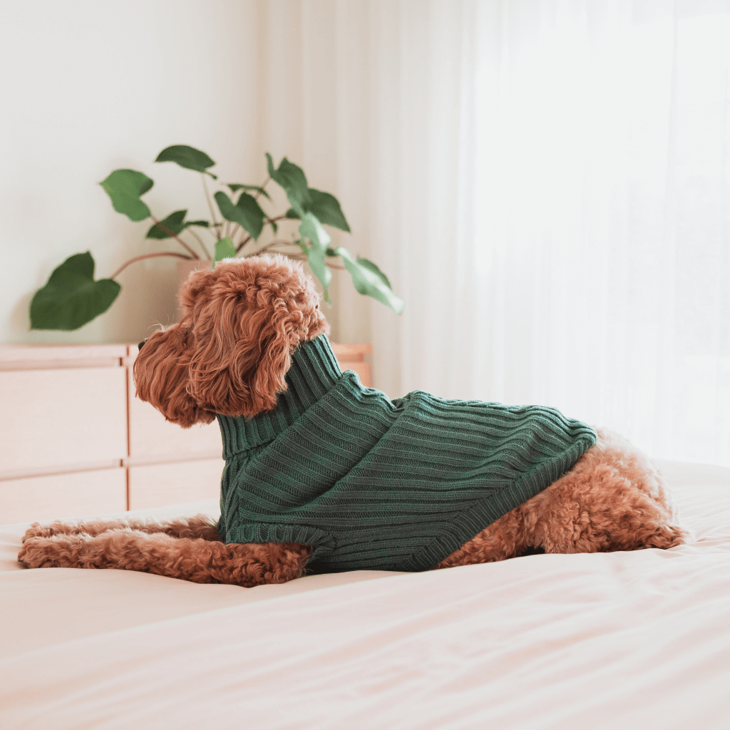 FuzzYard Life Knitted Sweater - Myrtle Green