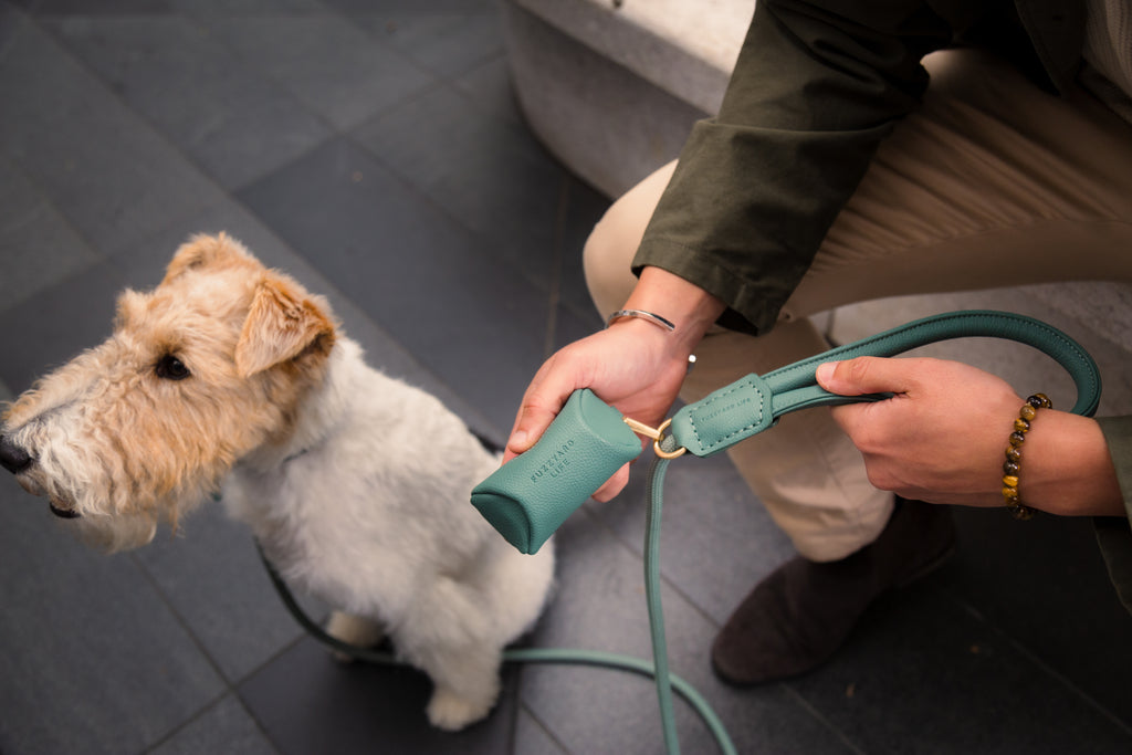 Myrtle Green - Dispensador de bolsas Atelier