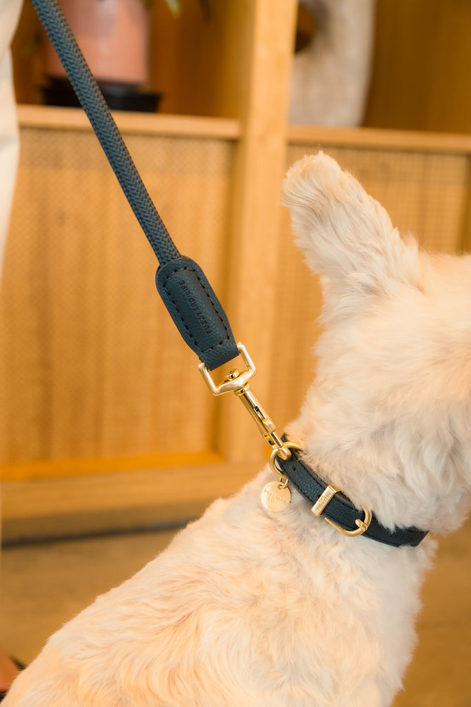 Slate Grey - Collar para perros Atelier