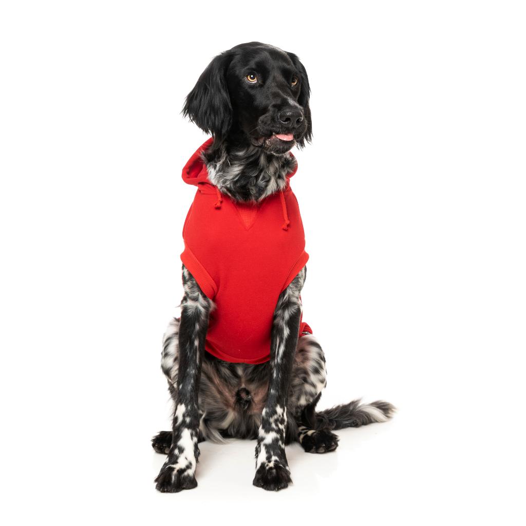 Zoomies Hoodie Red