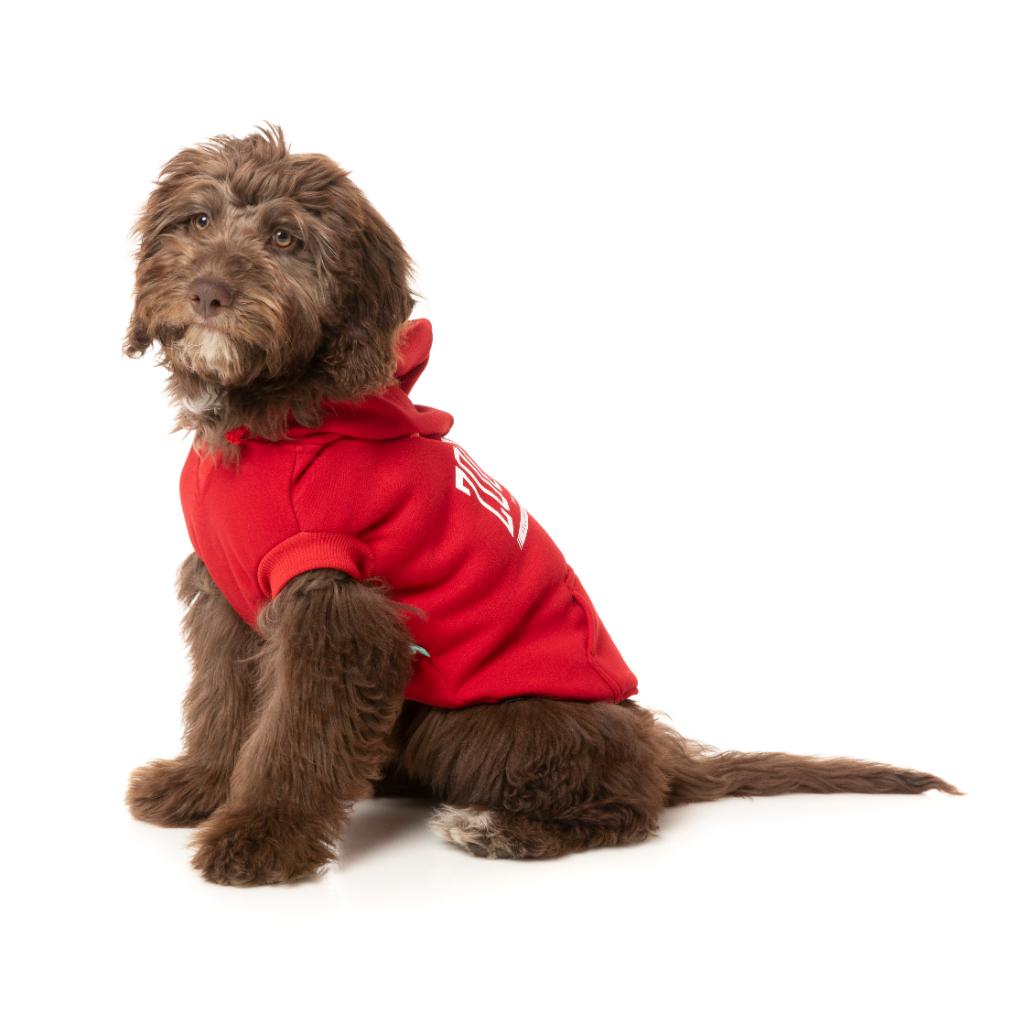 Zoomies Hoodie Red