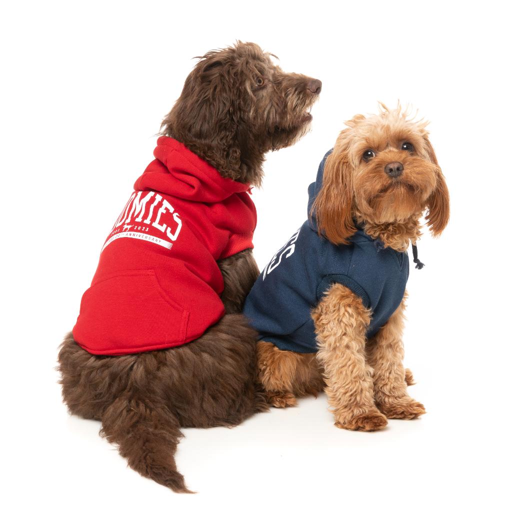 Zoomies Hoodie Red