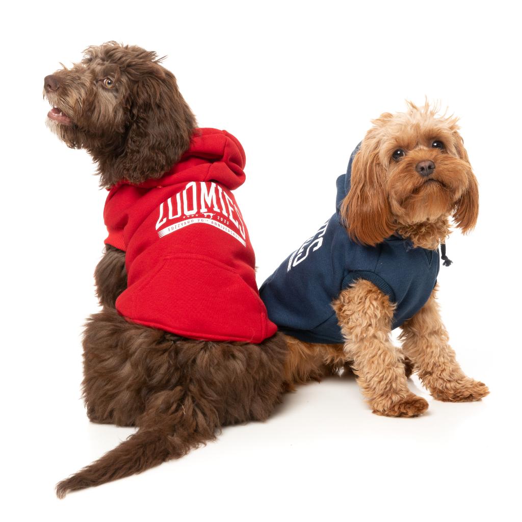 Zoomies Hoodie Red
