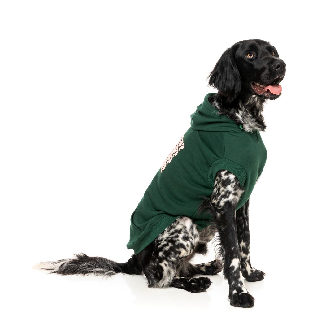 Treats Hoodie Green