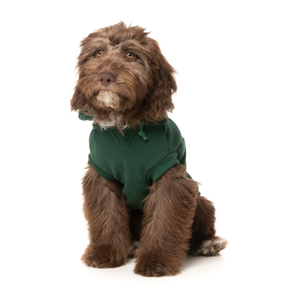 Treats Hoodie Green