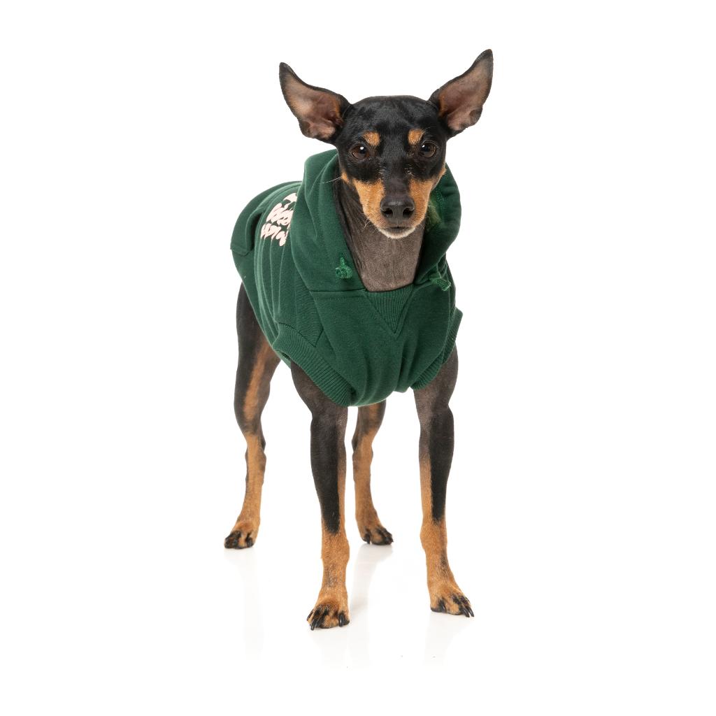 Treats Hoodie Green