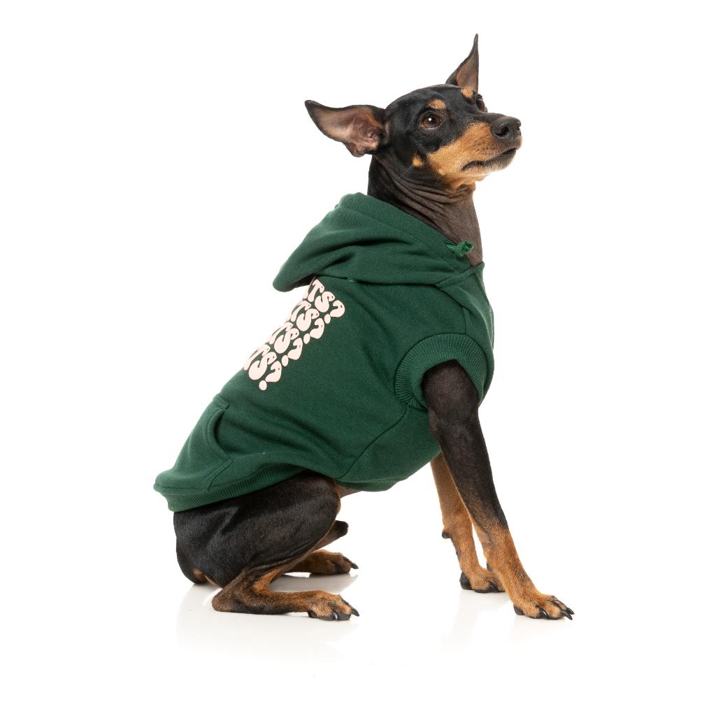 Treats Hoodie Green
