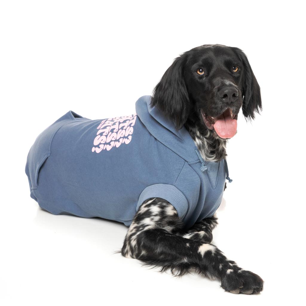 Treats Hoodie Blue