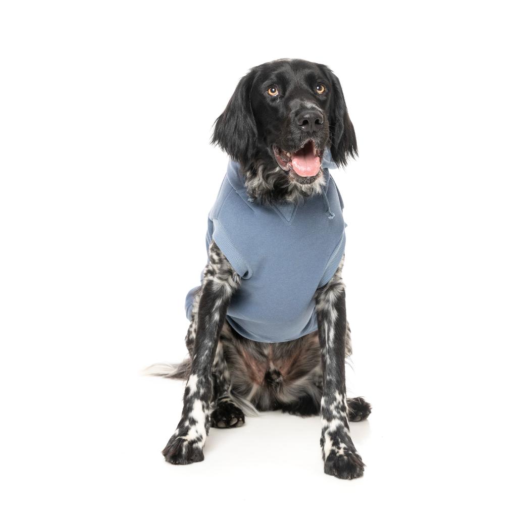 Treats Hoodie Blue