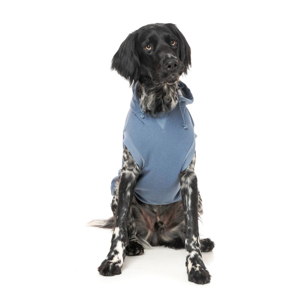 Treats Hoodie Blue