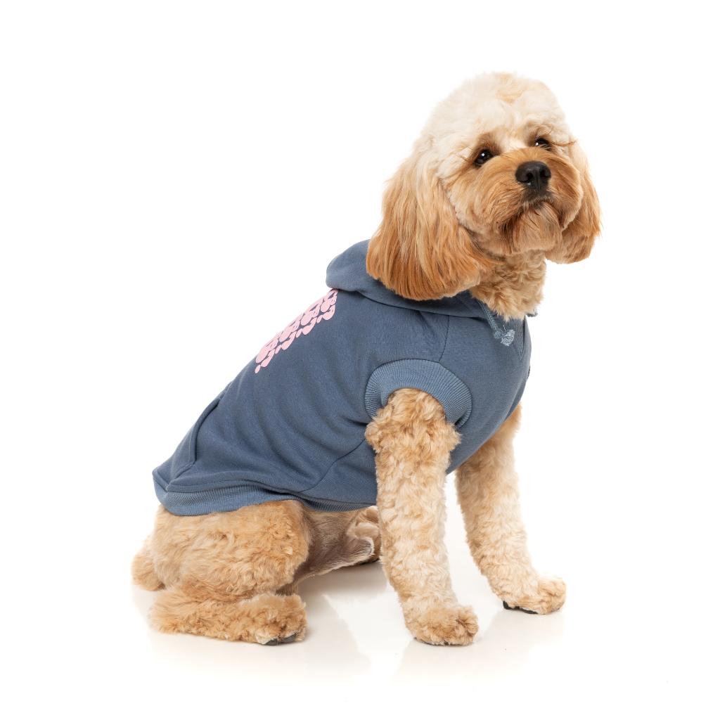 Treats Hoodie Blue