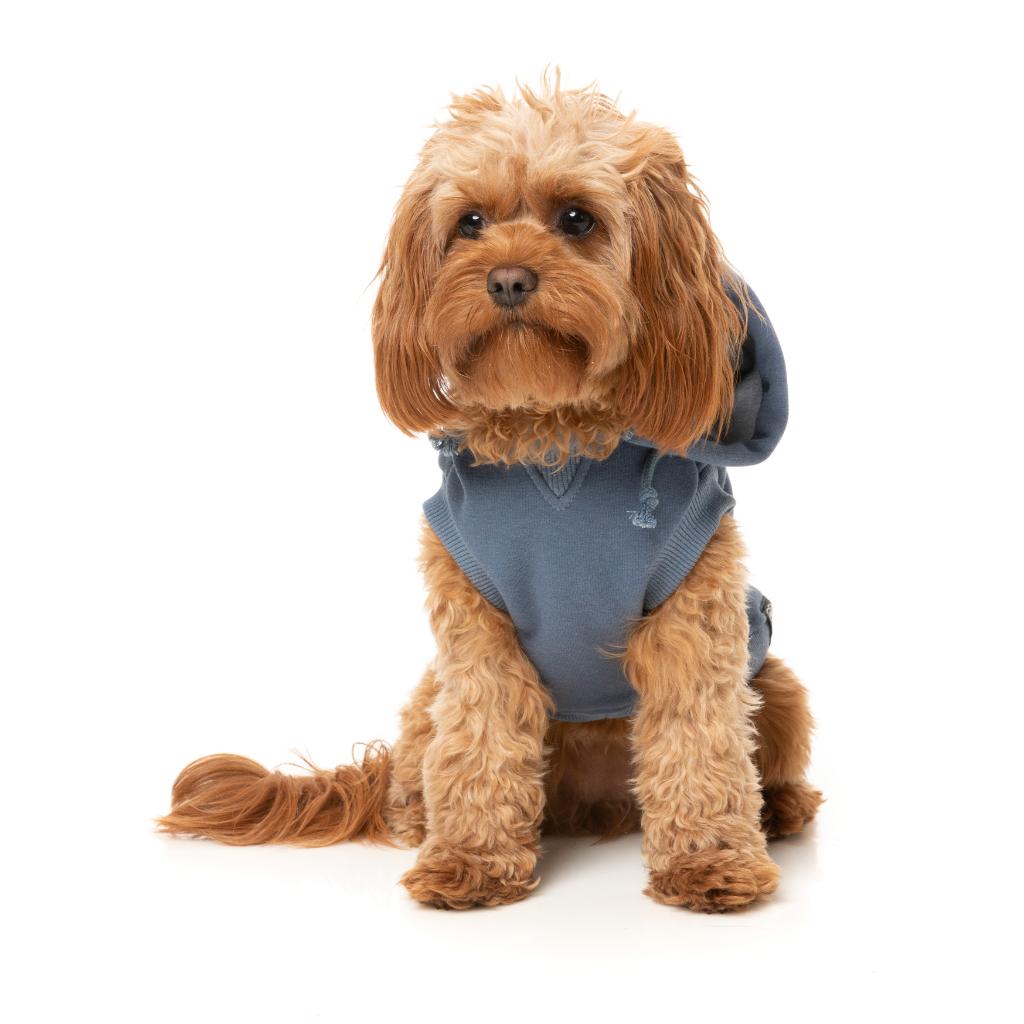 Treats Hoodie Blue