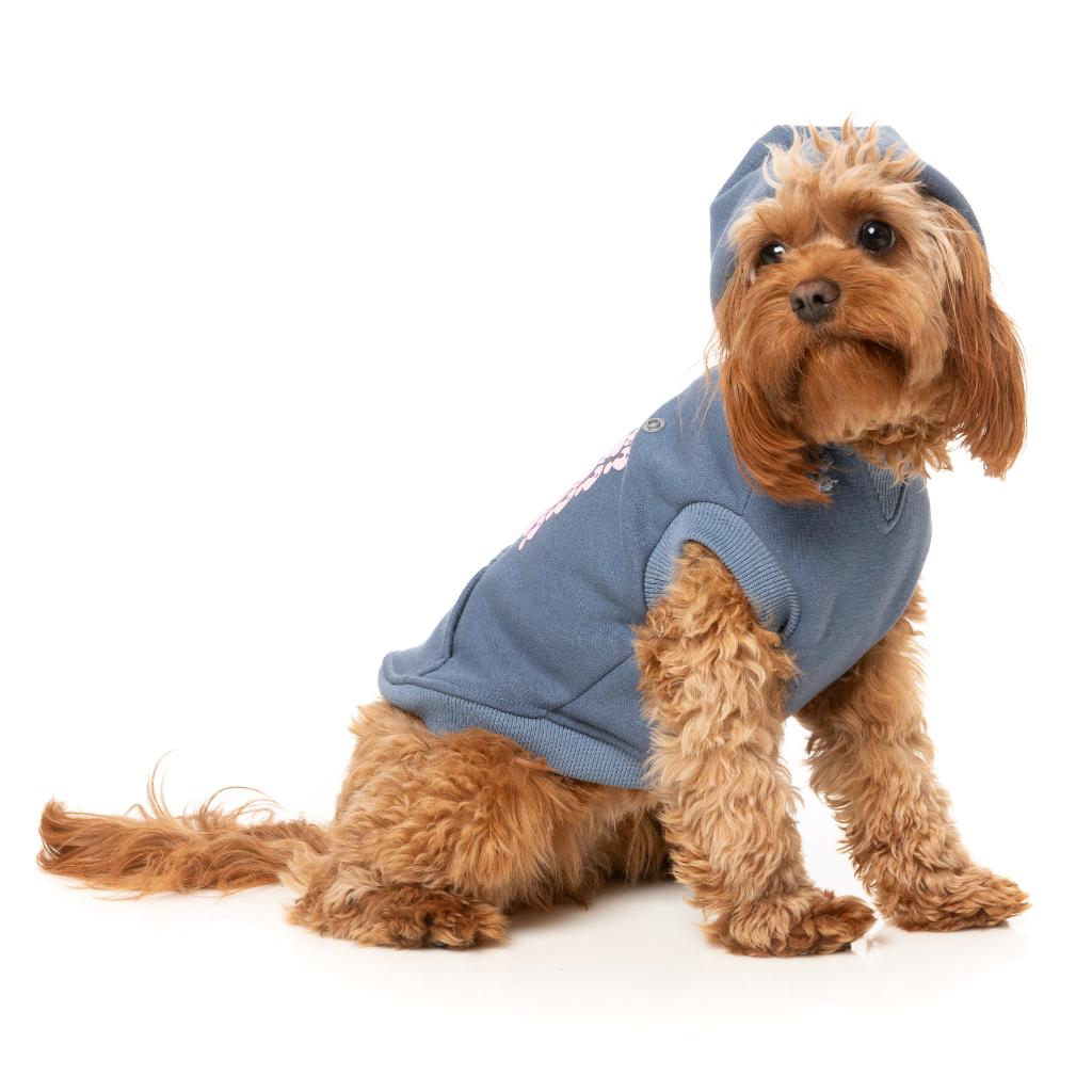 Treats Hoodie Blue