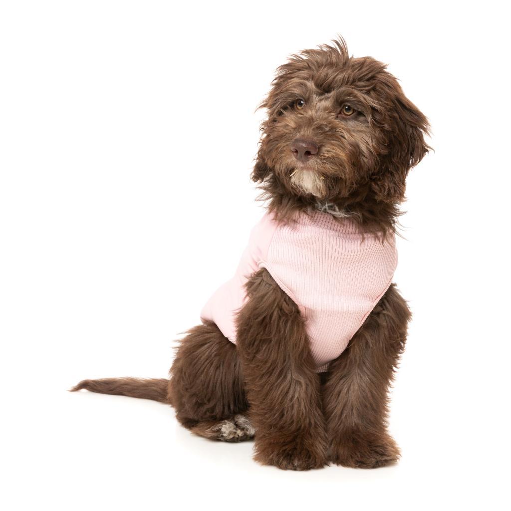 East Macgyver Jacket Pink