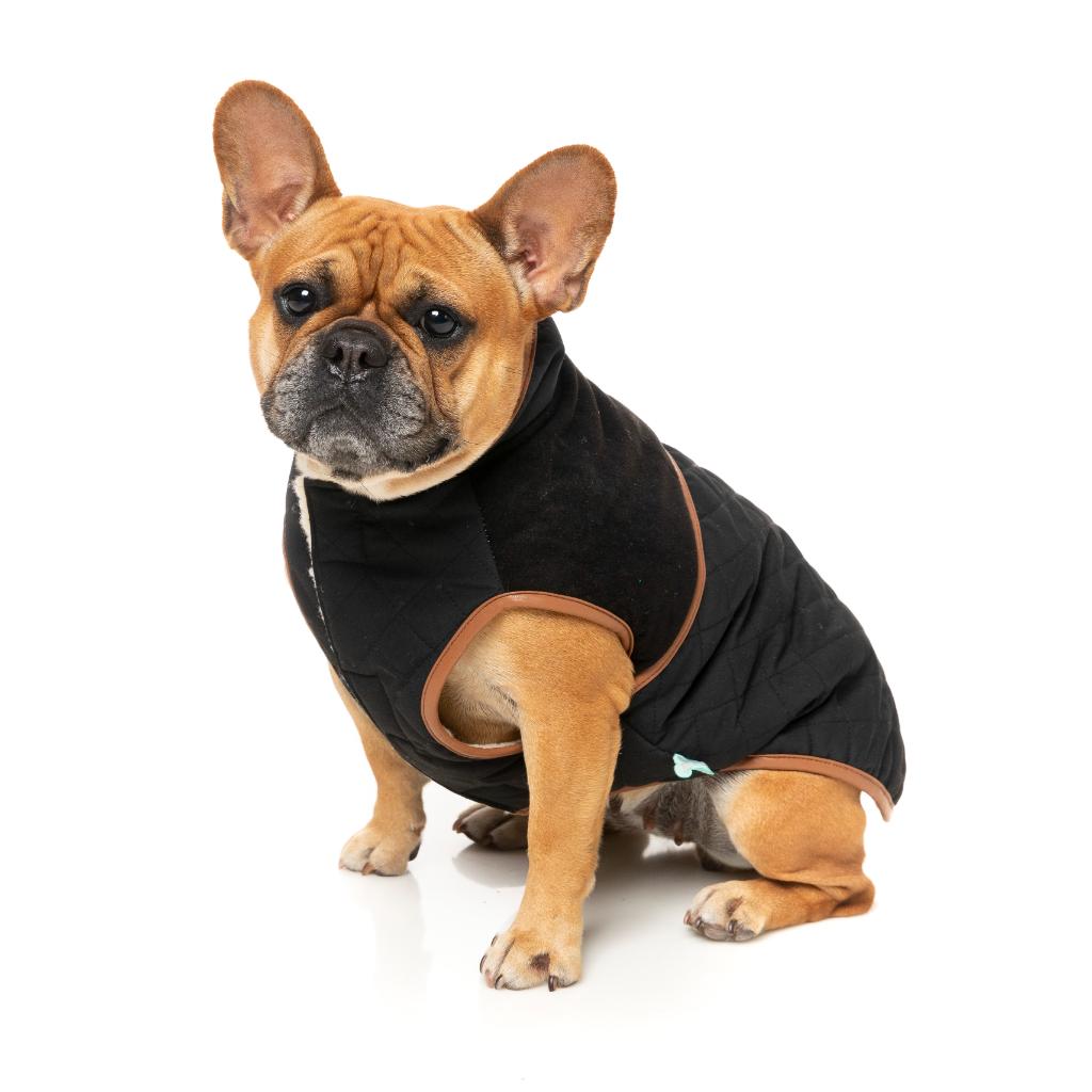 Ivanhoe Jacket Black