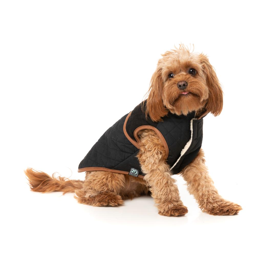 Ivanhoe Jacket Black