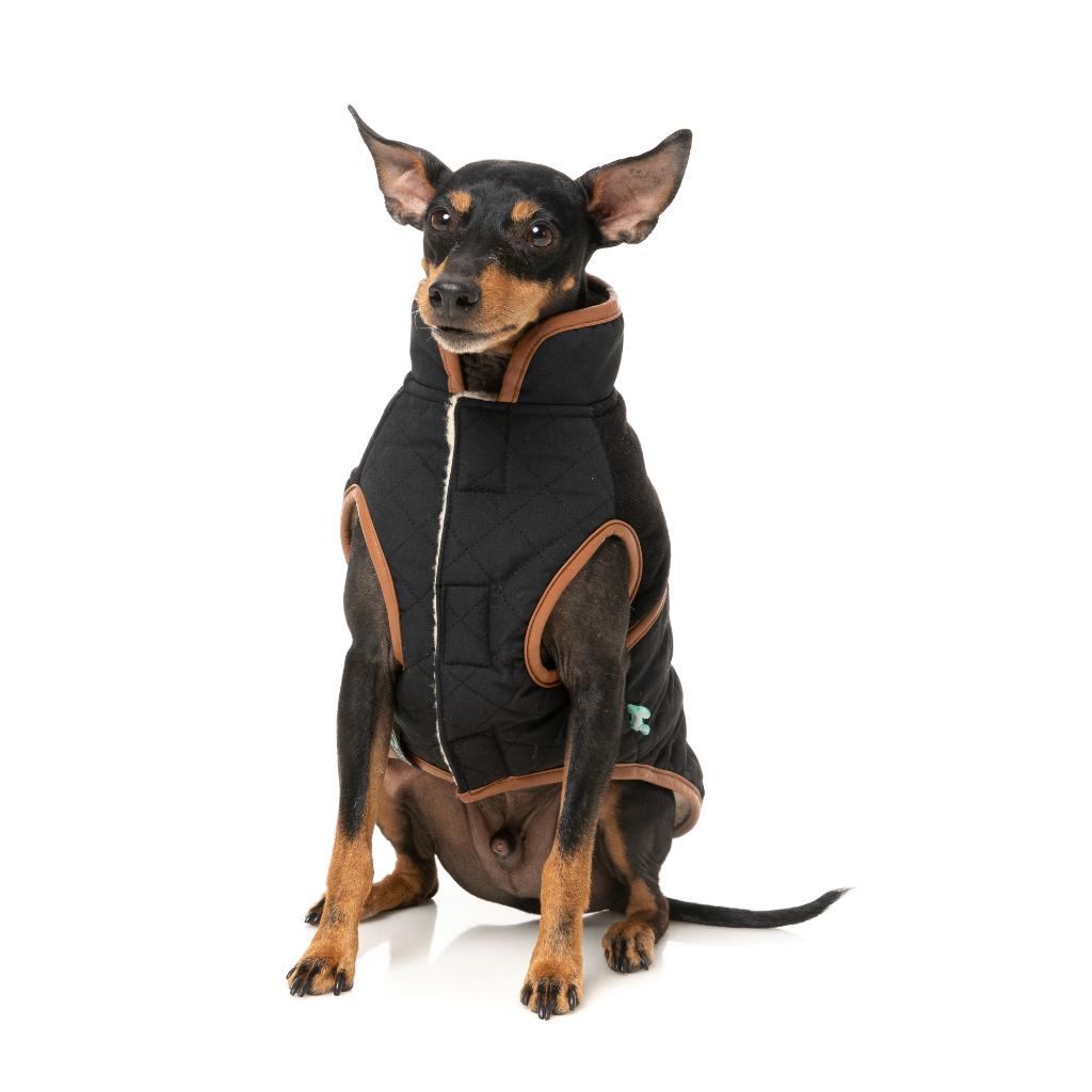 Ivanhoe Jacket Black
