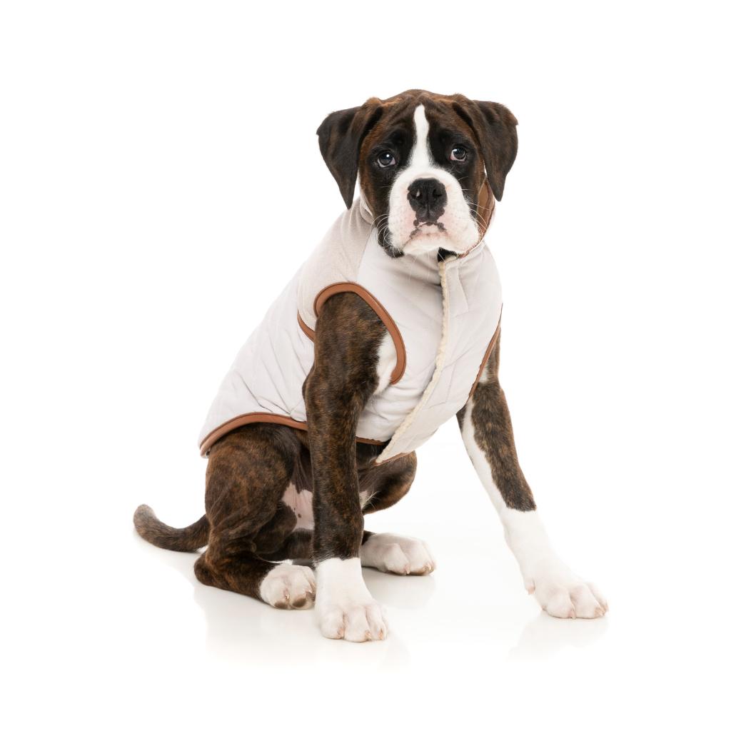 Ivanhoe Jacket Ivory