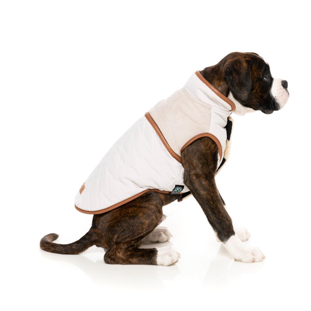 Ivanhoe Jacket Ivory