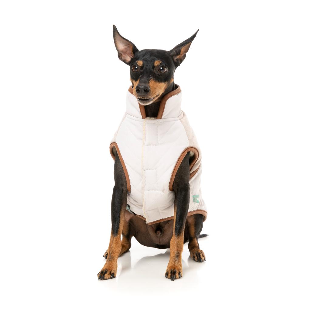 Ivanhoe Jacket Ivory