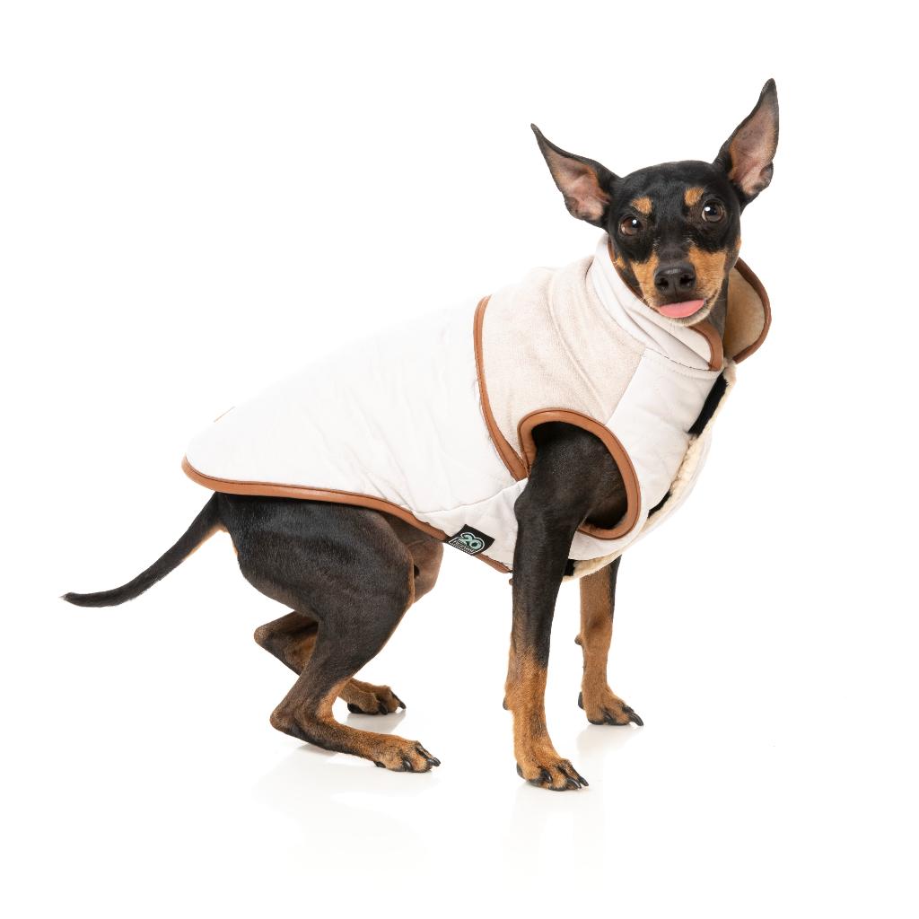 Ivanhoe Jacket Ivory