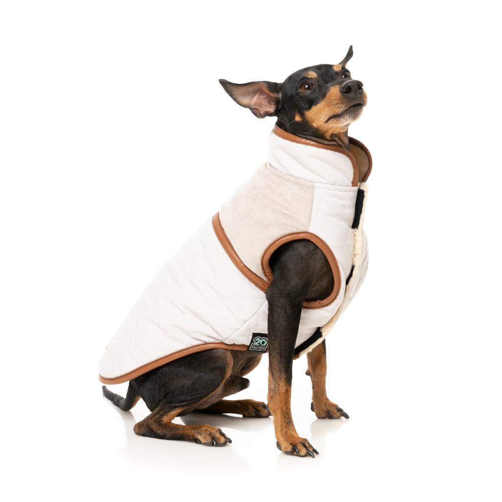 Ivanhoe Jacket Ivory