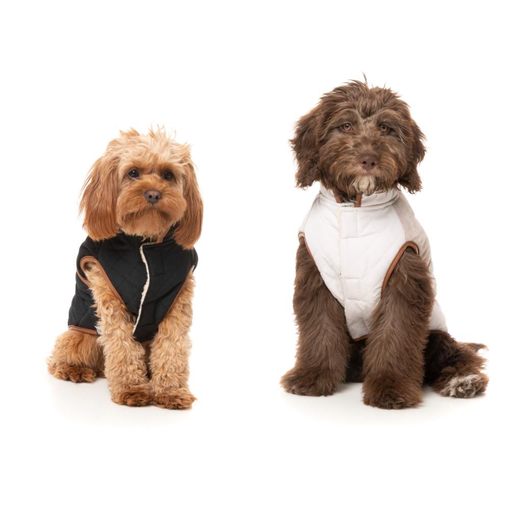 Ivanhoe Jacket Ivory