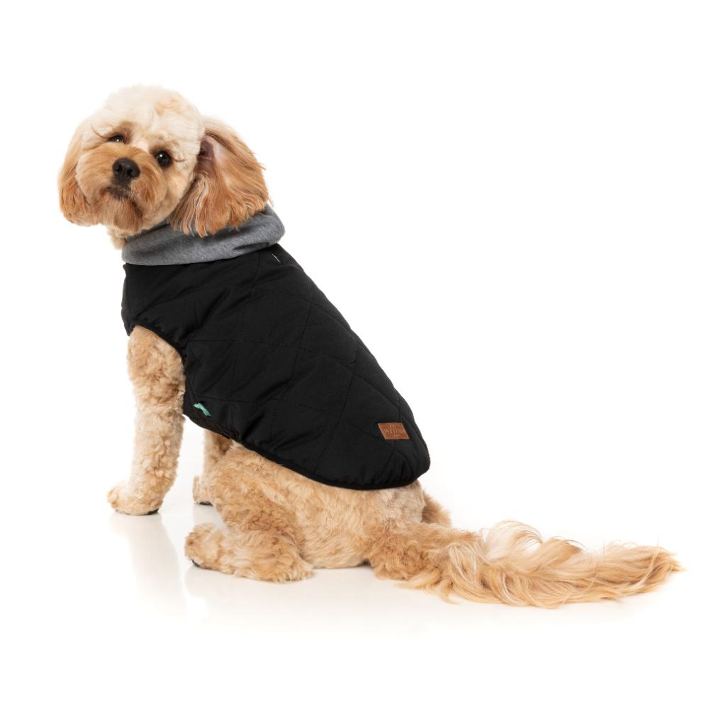 Cremorne Hoodie Black