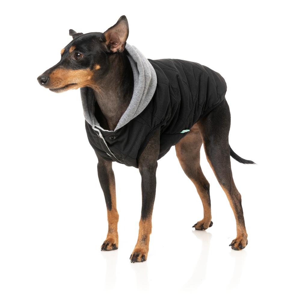 Cremorne Hoodie Black