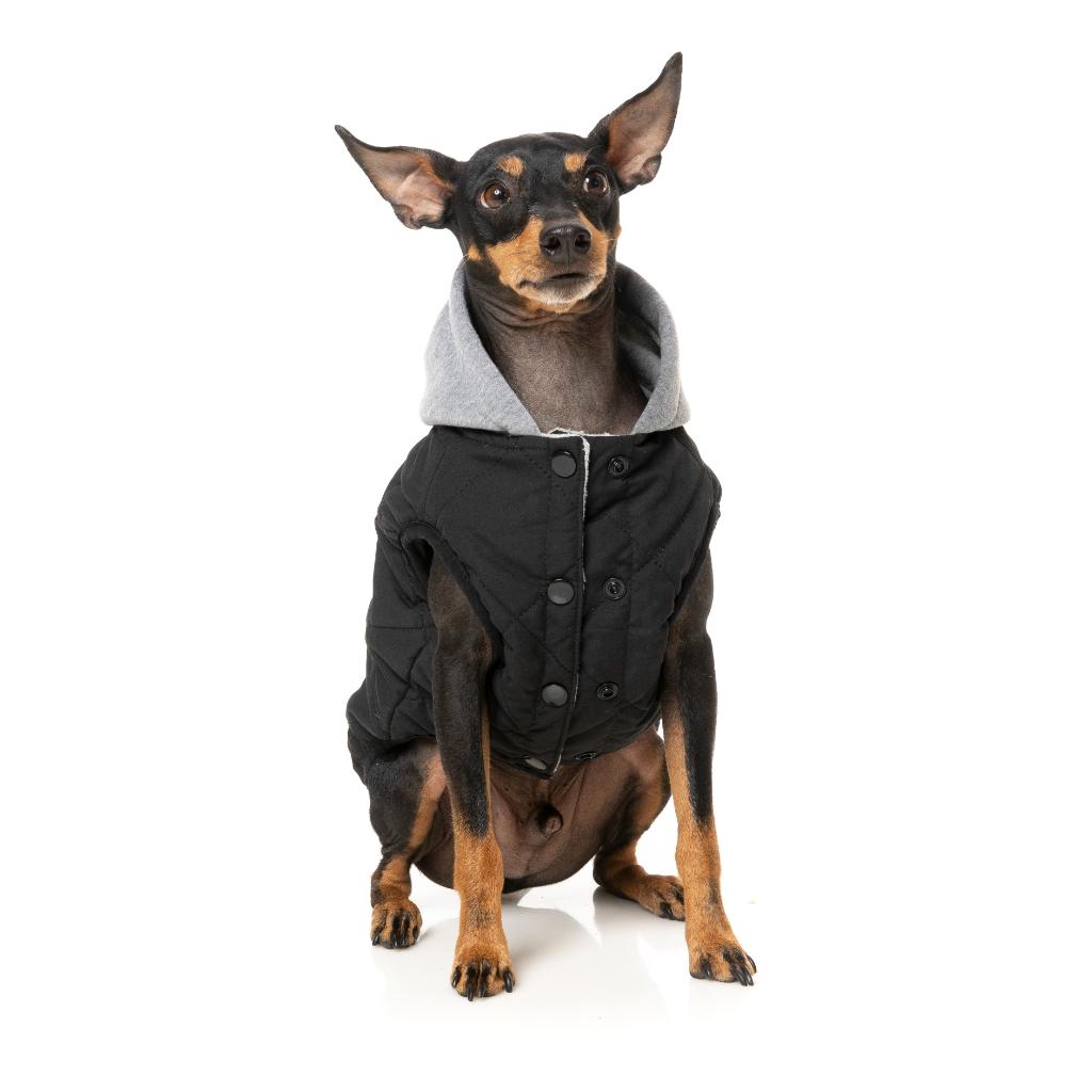 Cremorne Hoodie Black