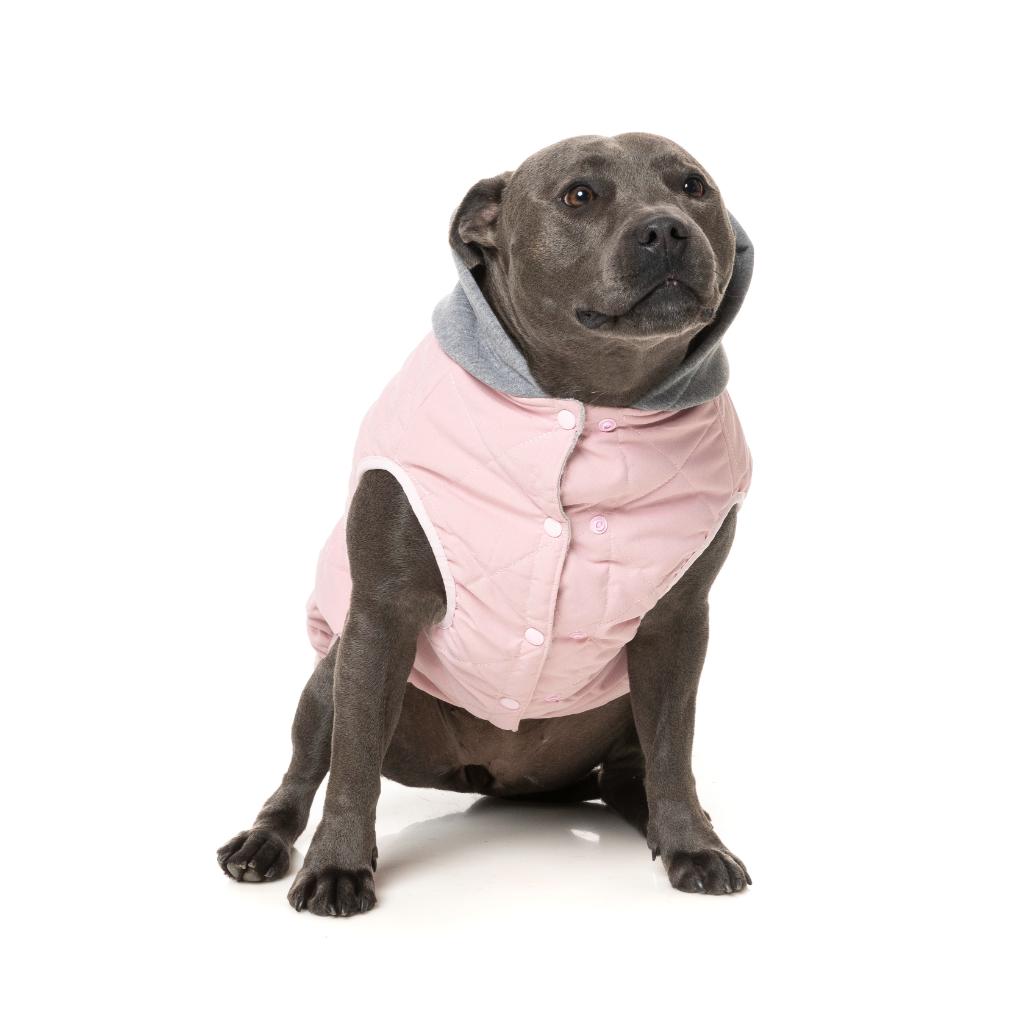Cremorne Hoodie Pink