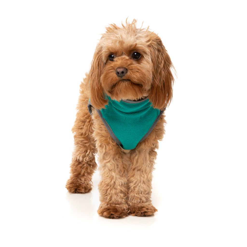 Fitzroy Jacket Green