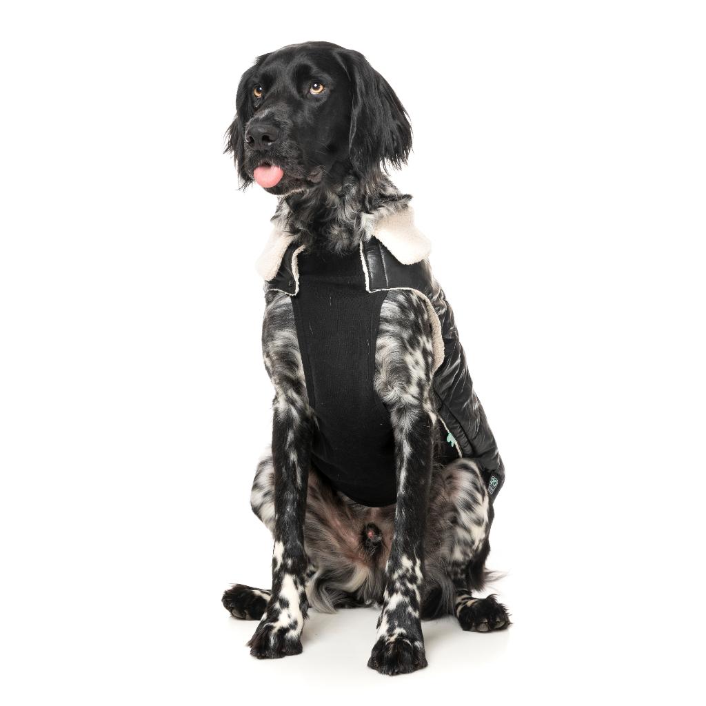 Sebastian Jacket Black