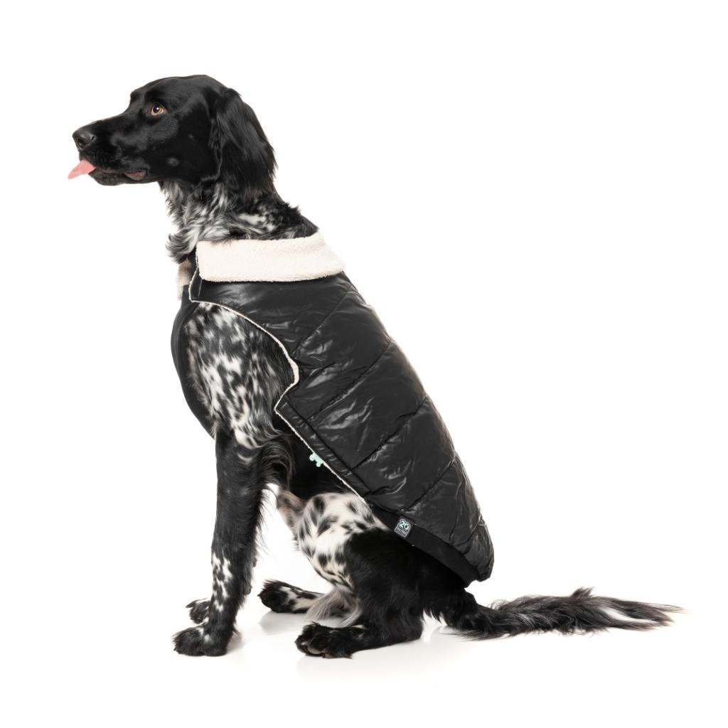 Sebastian Jacket Black