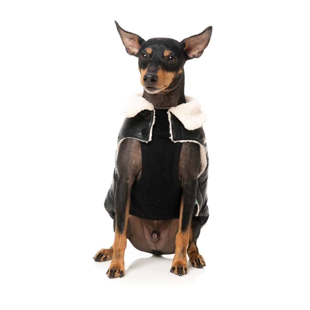 Sebastian Jacket Black