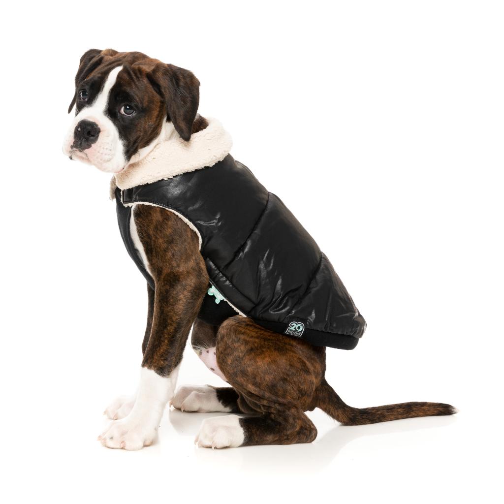 Sebastian Jacket Black