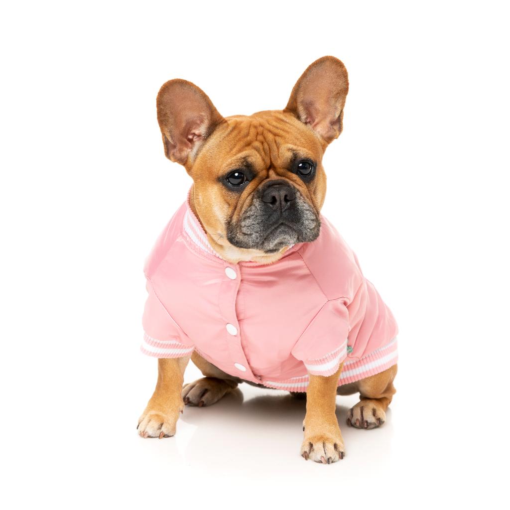 Fastball Jacket Pink