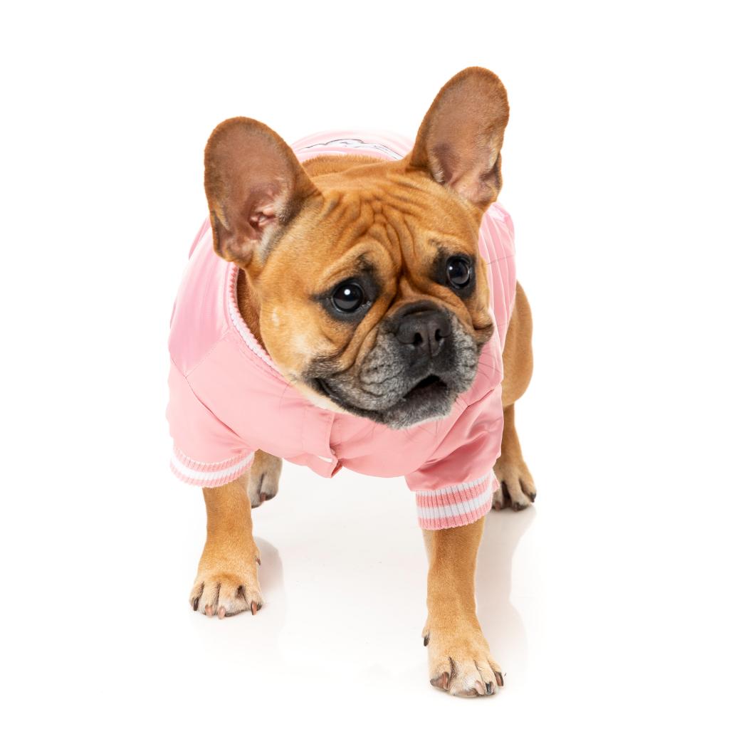 Fastball Jacket Pink