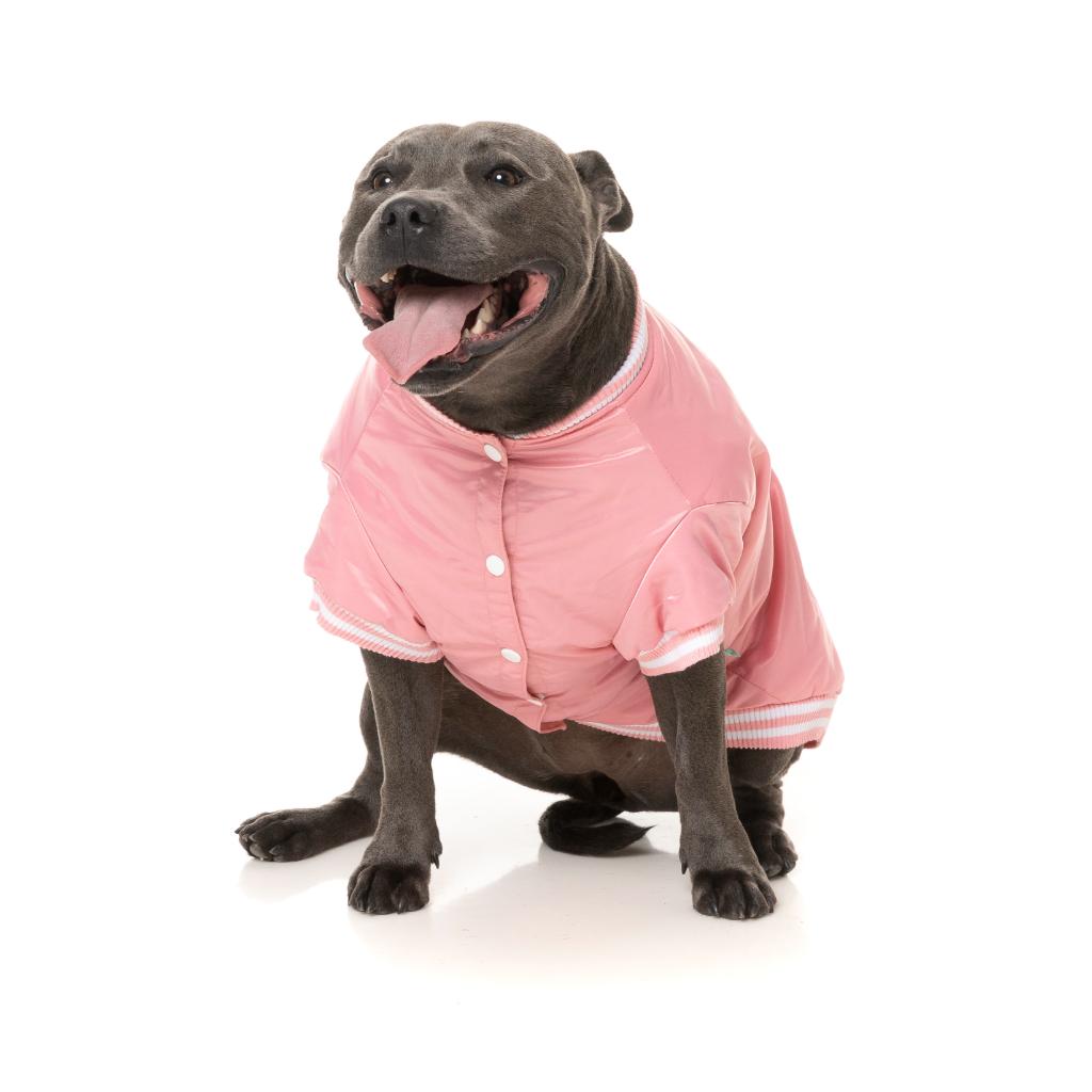 Fastball Jacket Pink