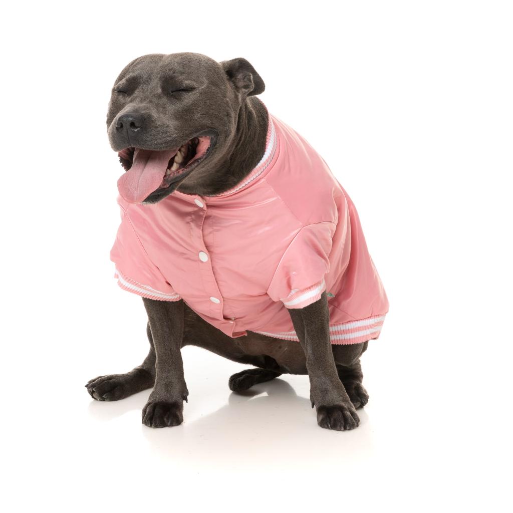 Fastball Jacket Pink